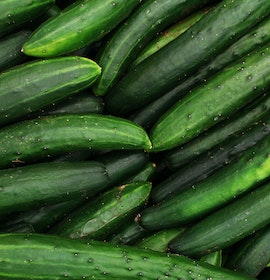 Photo by Daniel Dan from Pexels: https://www.pexels.com/photo/close-up-shot-of-cucumbers-7543157/